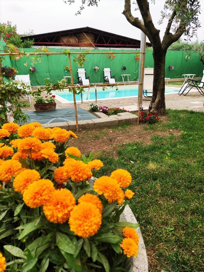 Appartamenti Bellini Bardolino Dış mekan fotoğraf